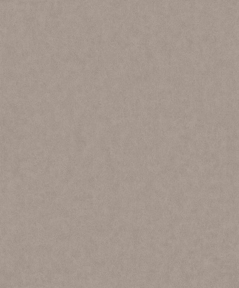 Papel Mural / 220504 (Grand Safari)