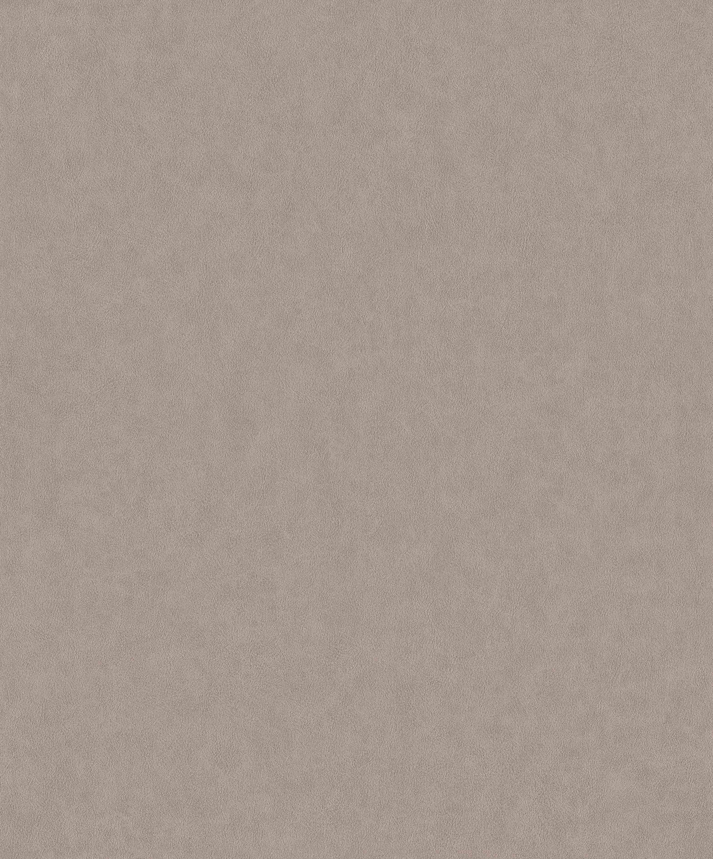 Papel Mural / 220504 (Grand Safari) 1