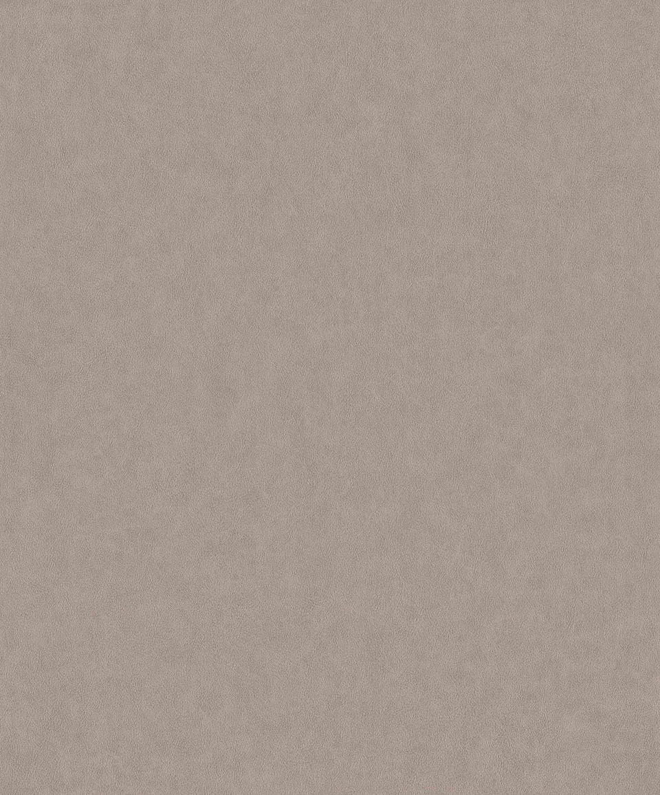 Papel Mural / 220504 (Grand Safari) 1