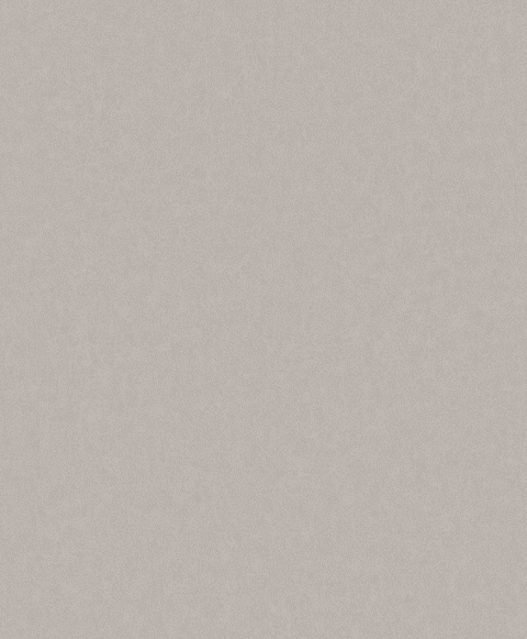 Papel Mural / 220502 (Grand Safari)