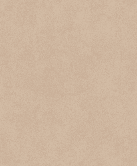 Papel Mural / 221052 (Imagine)