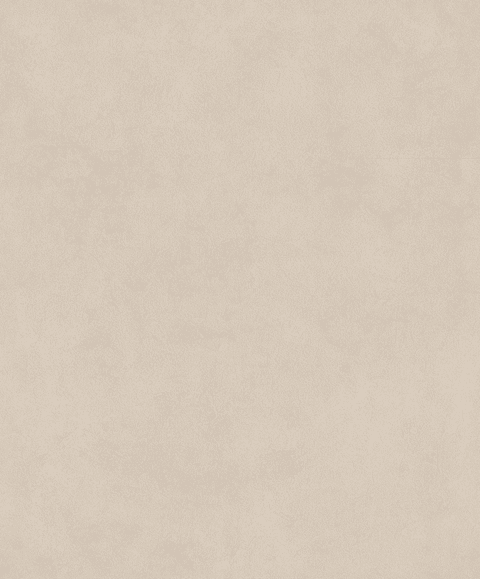 Papel Mural / 221053 (Imagine)