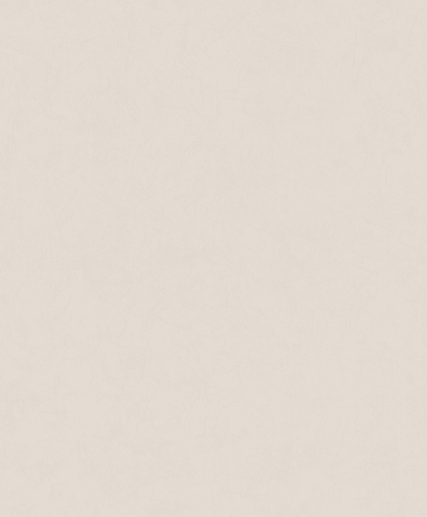 Papel Mural / 221058 (Imagine)