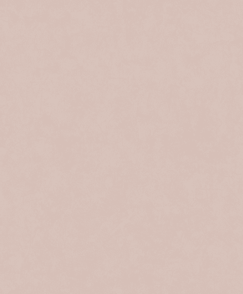 Papel Mural / 221055 (Imagine)