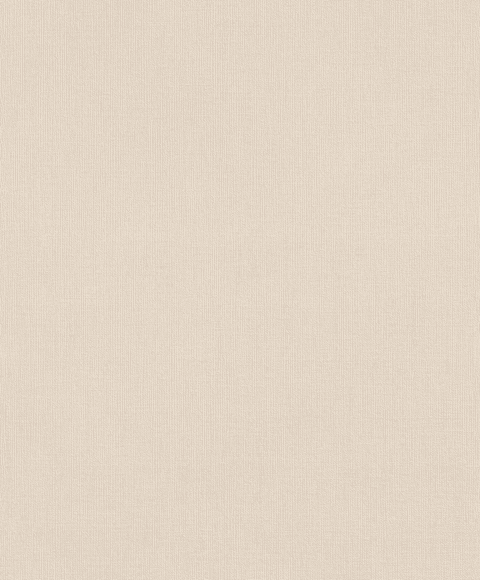 Papel Mural / 484526 (Florentine III)