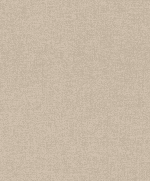 Papel Mural / 484540 (Florentine III)