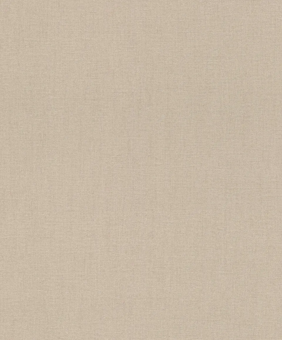 Papel Mural / 484540 (Florentine III) 1