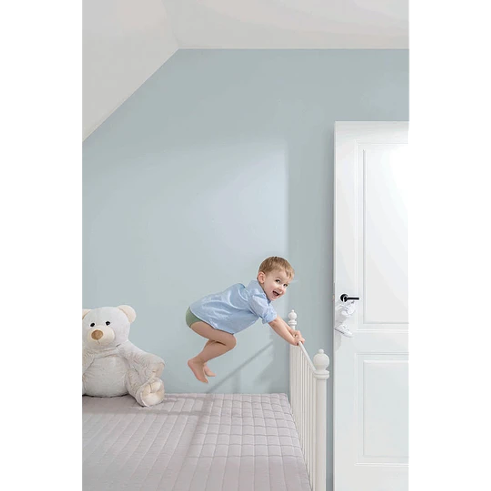 Papel Mural / LL01032 (Jack&Rose) 2