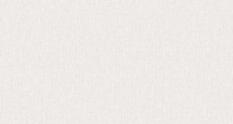 Papel Mural / LL09025 (Jack&Rose)