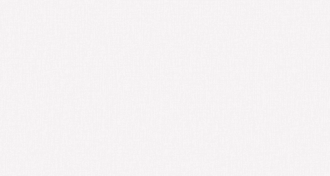 Papel Mural / LL09016 (Jack&Rose)