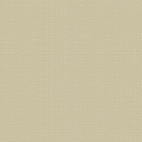 Papel Mural / 24921 (Home)