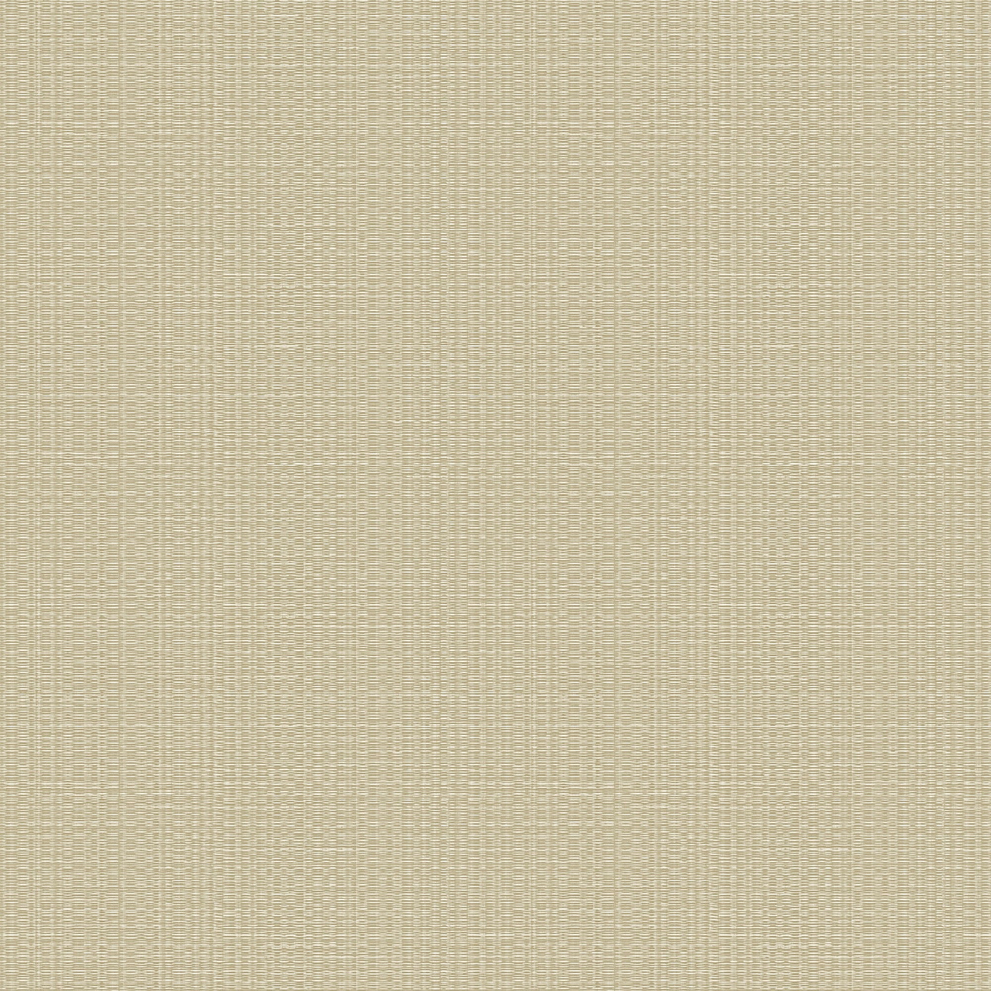 Papel Mural / 24921 (Home) 1