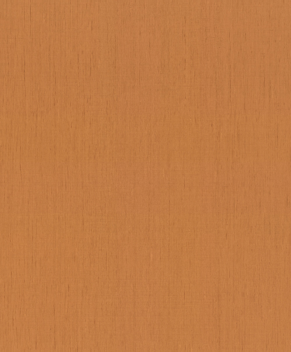 Papel Mural / 746099 (Indian Style) 1