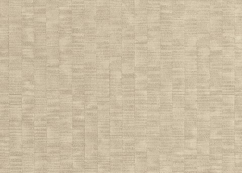 Papel Mural / 20754 (Evolution)