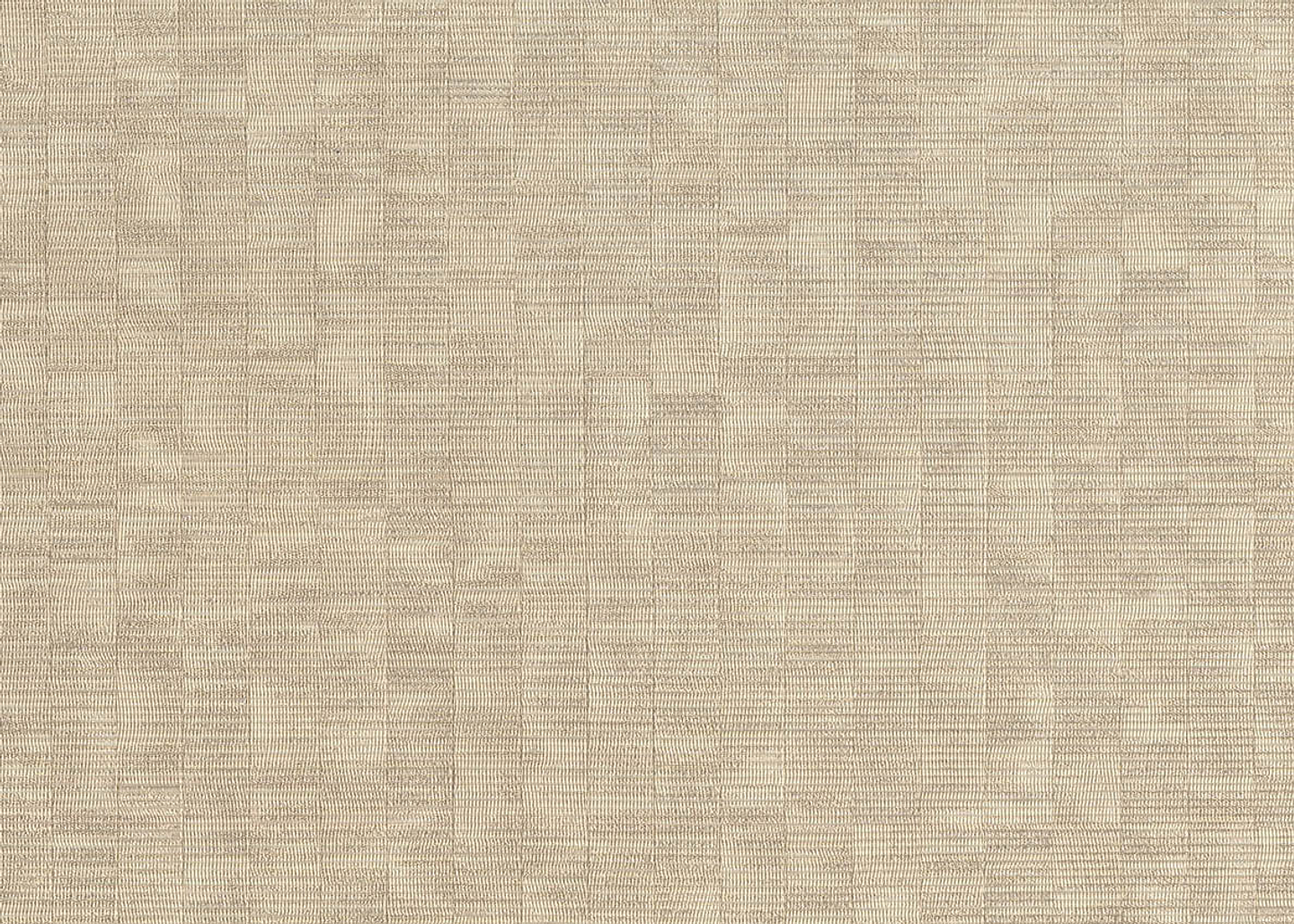 Papel Mural / 20754 (Evolution) 1