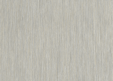 Papel Mural / 24613 (Evolution)