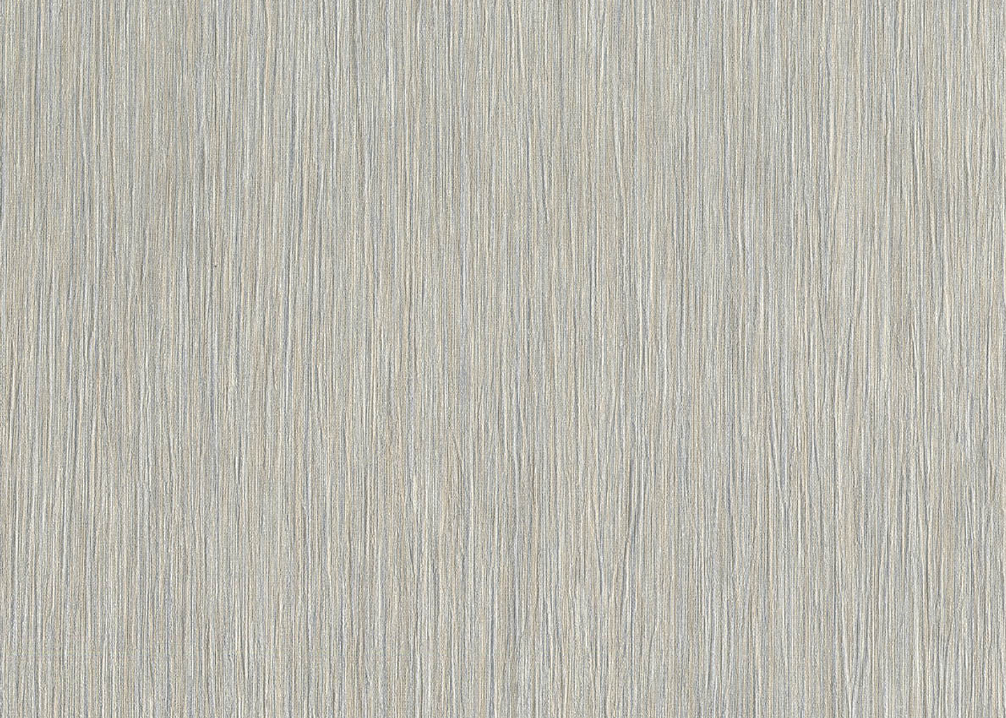 Papel Mural / 24613 (Evolution) 1