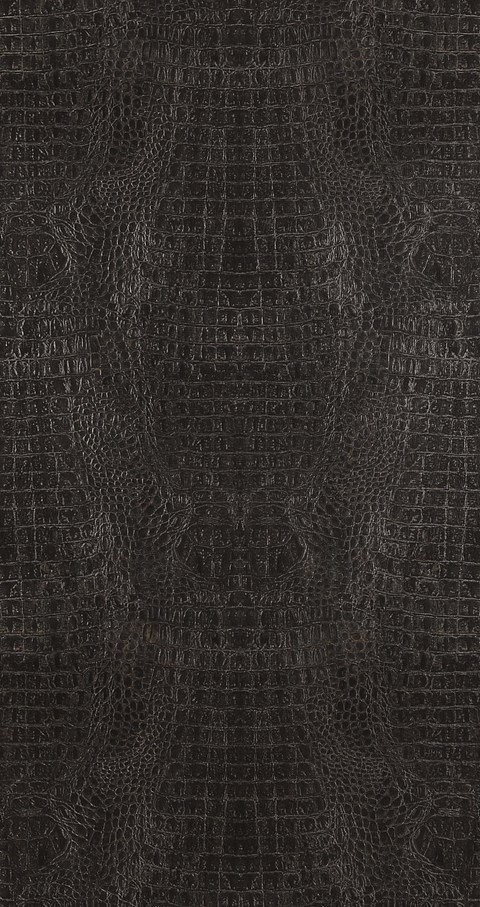 Papel Mural / 17950 (Inspire)