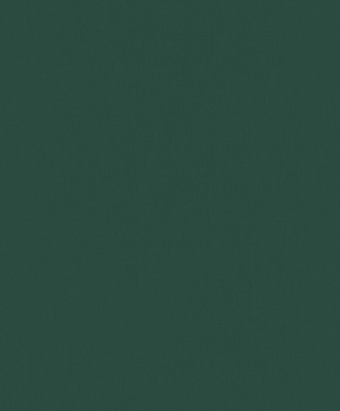 Papel Mural / 219227 (Inspire)