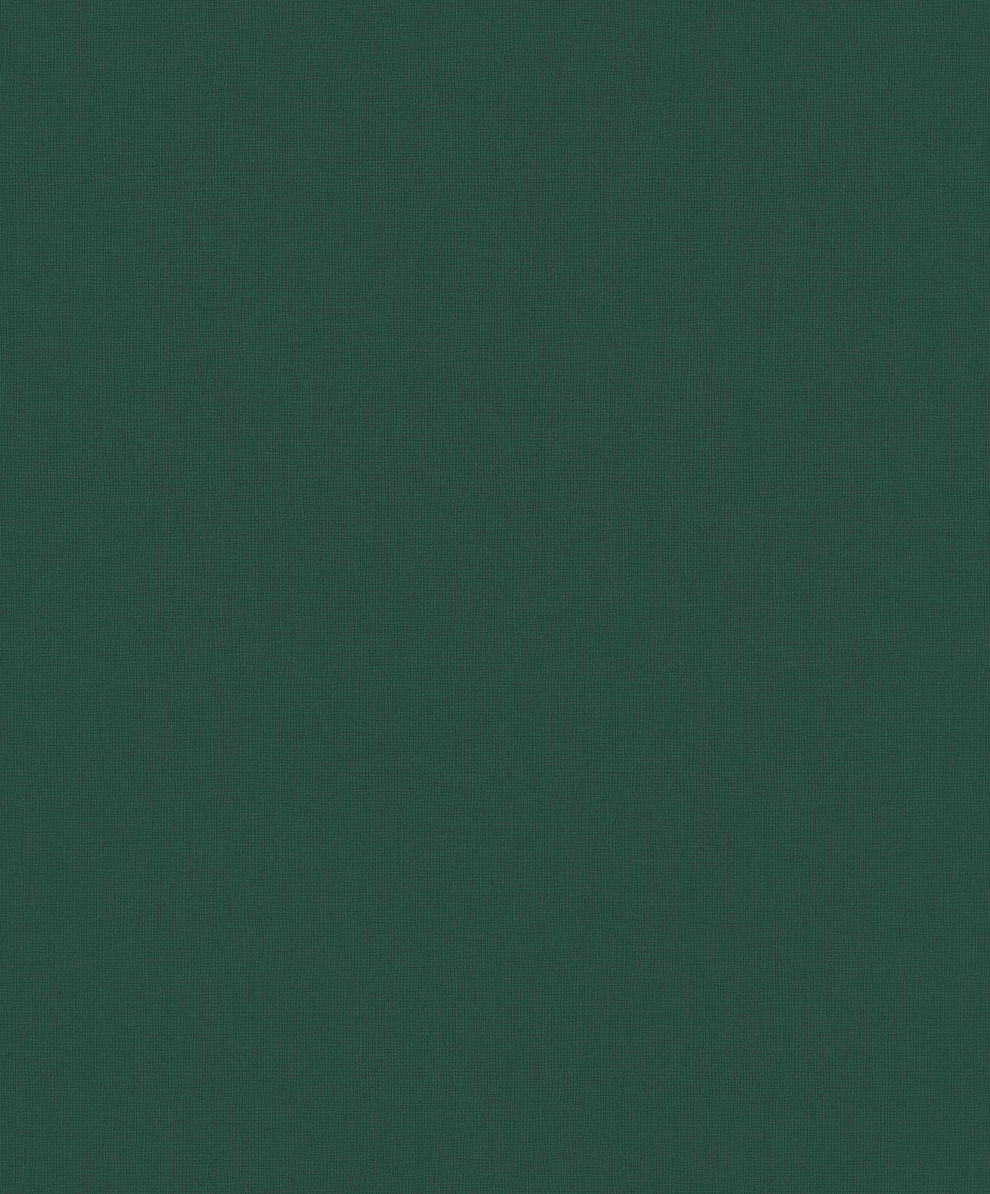 Papel Mural / 219227 (Inspire) 1