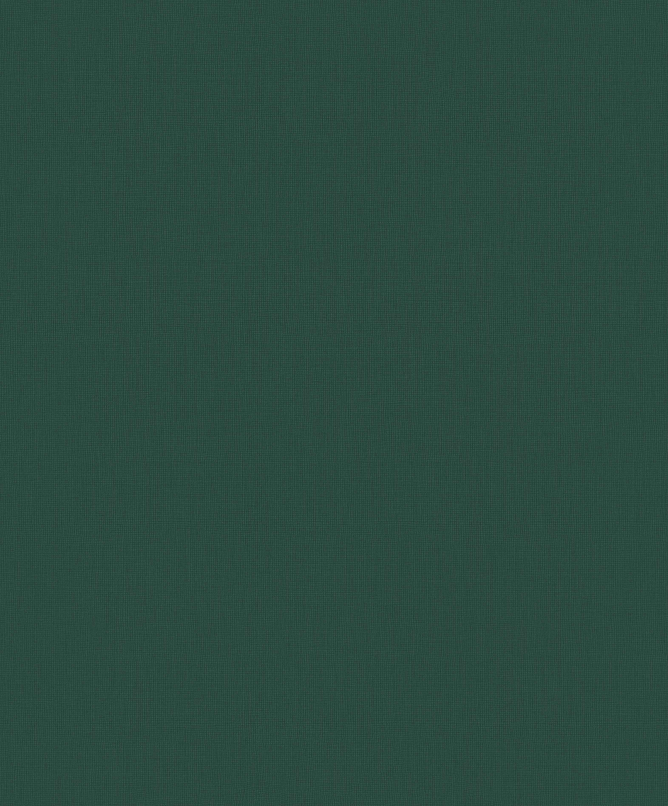 Papel Mural / 219227 (Inspire) 1