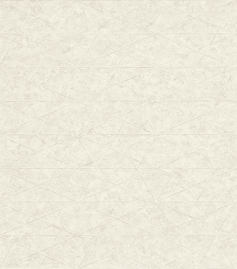 Papel Mural / 554311 (Concrete)