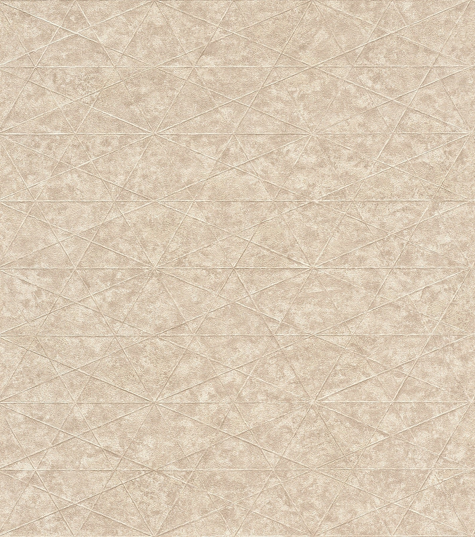 Papel Mural / 554335 (Concrete) 1