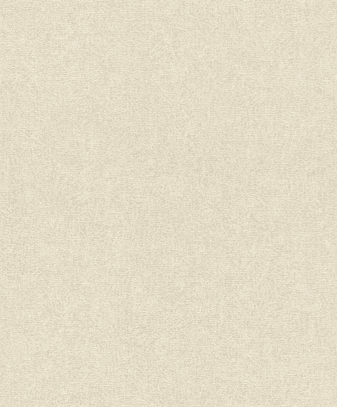 Papel Mural / 554434 (Concrete)