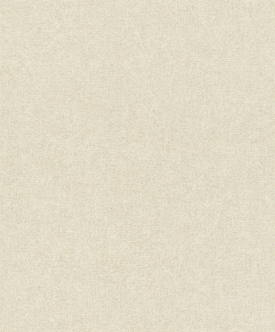 Papel Mural / 554434 (Concrete) 1