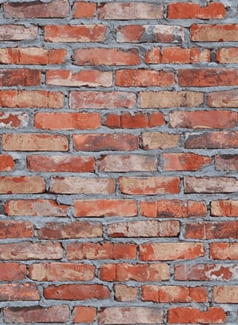 Papel Mural / 3475-1 (Zen)