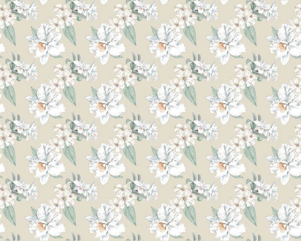 Papel Mural / White Flowers 3