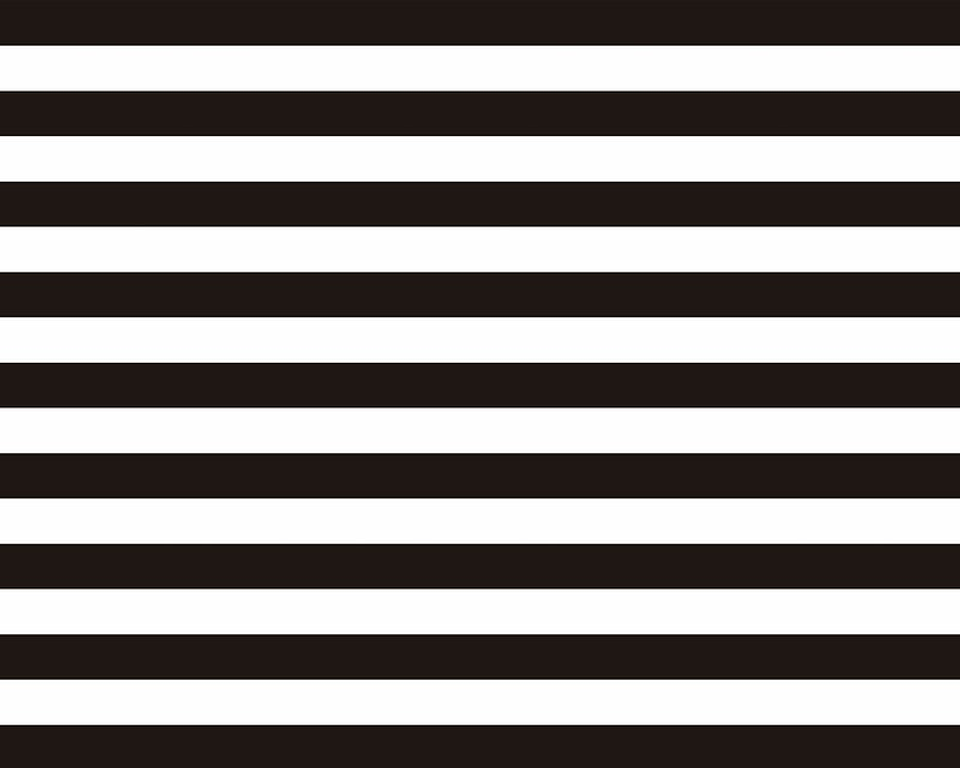 Papel Mural / Black Lines 2