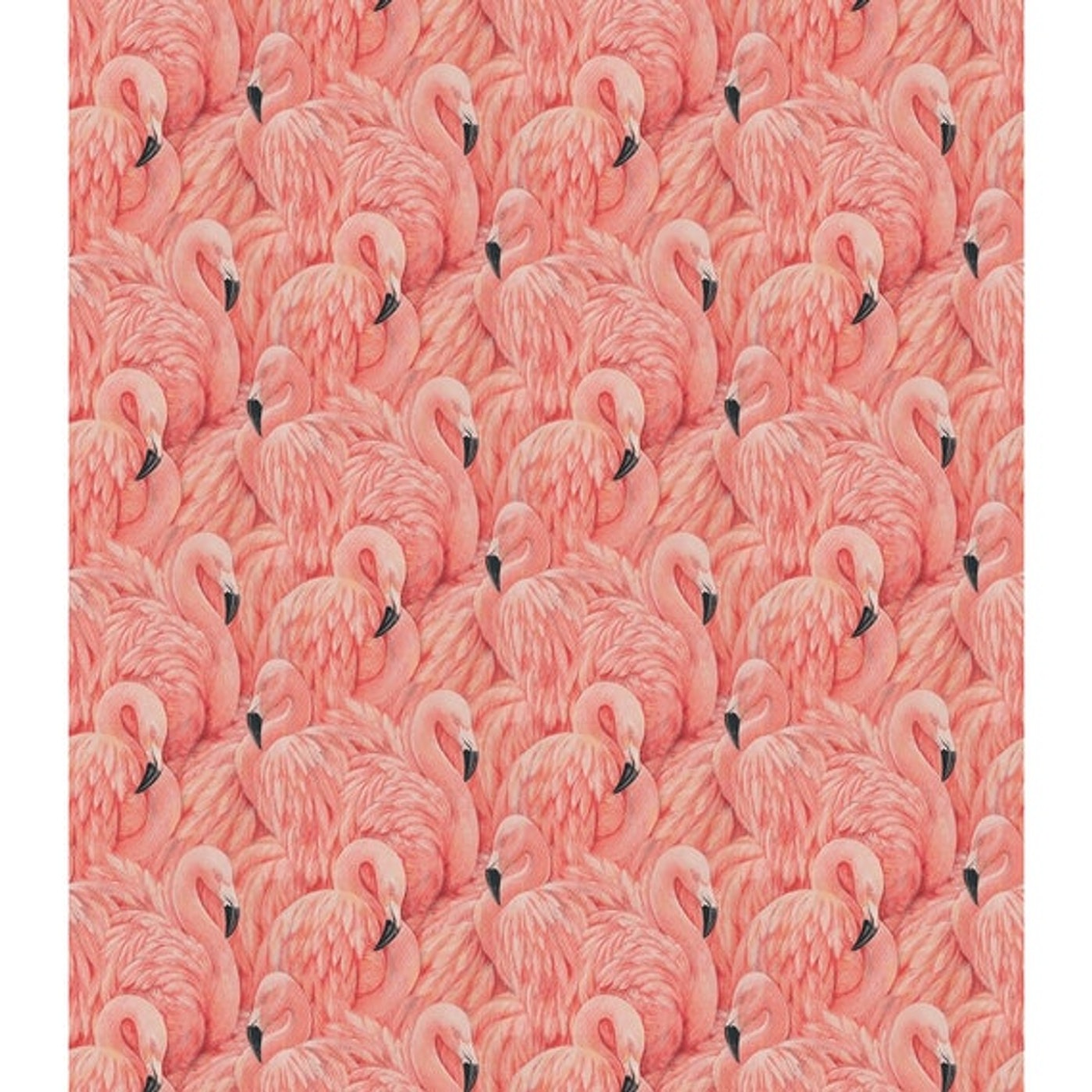Papel Mural / Pink Flamingo 4