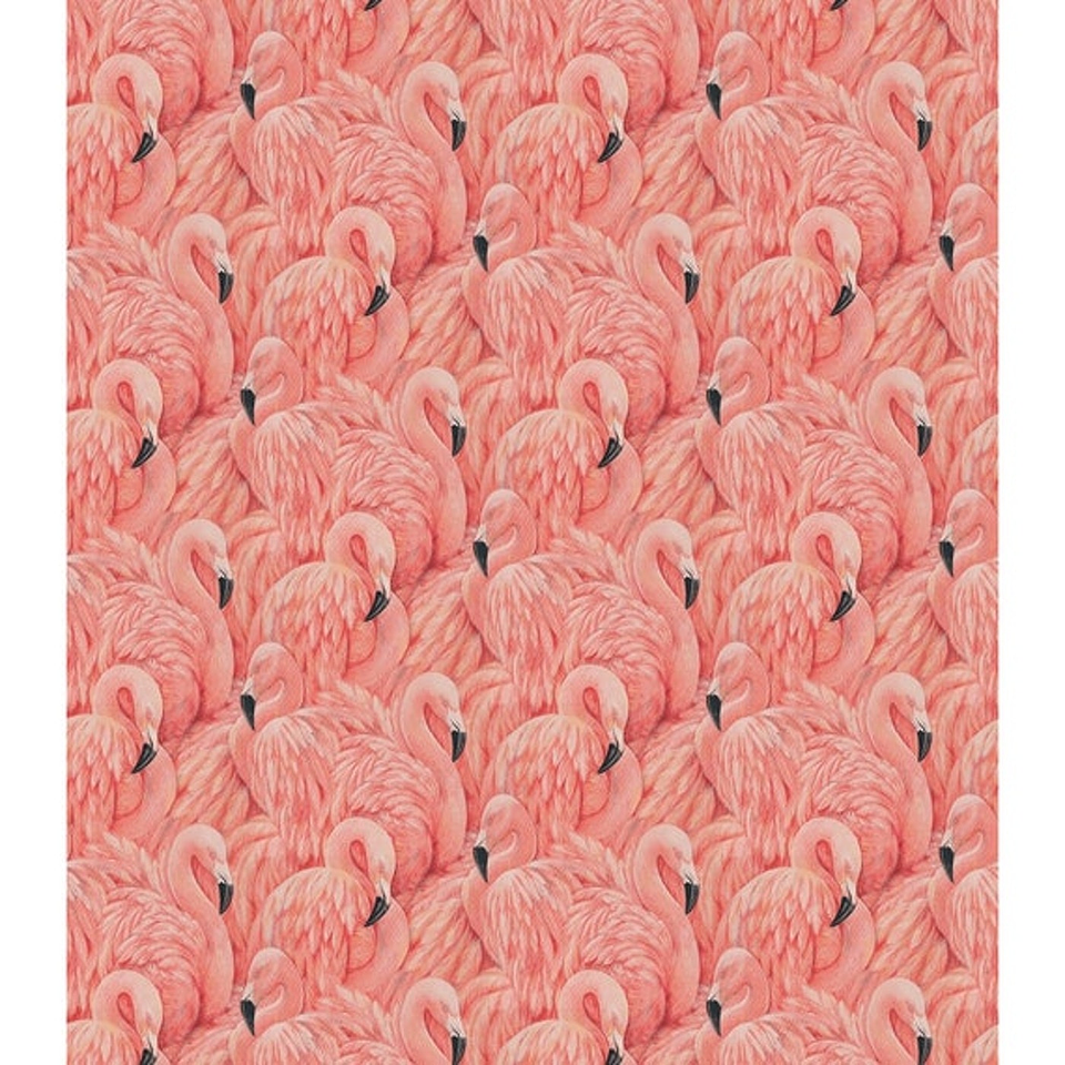 Papel Mural / Pink Flamingo 4