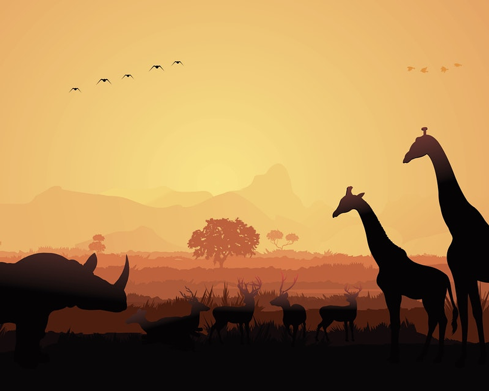 Papel Mural / Giraffe Sunset 3