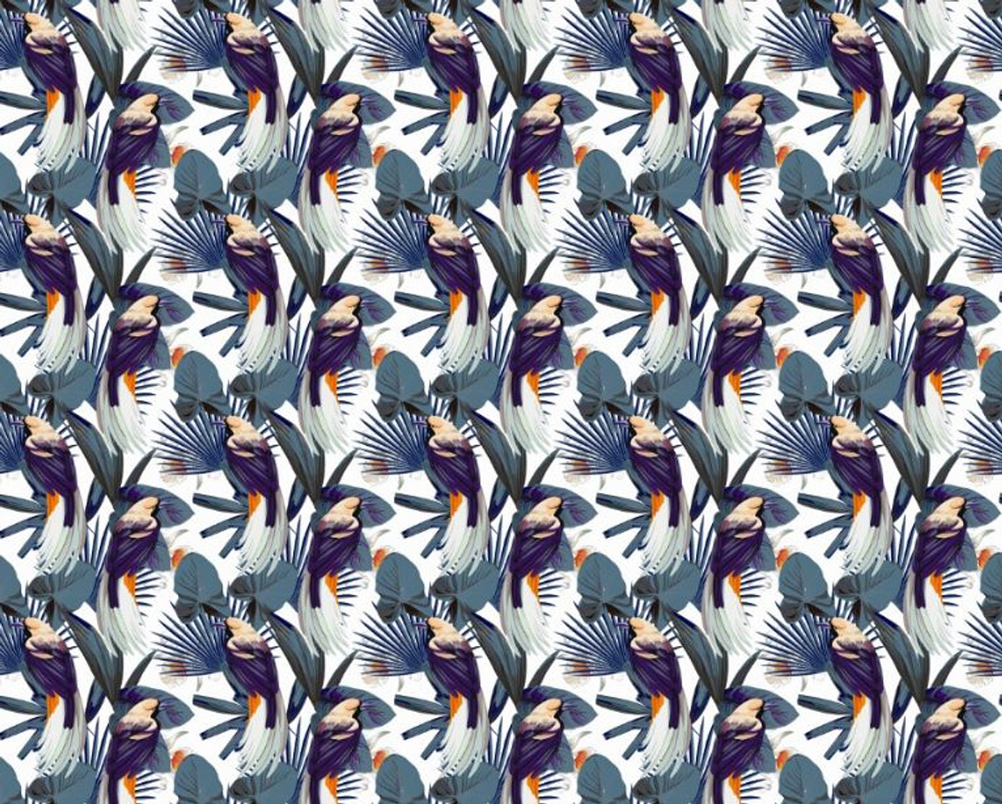 Papel Mural / Blue Macaws 3