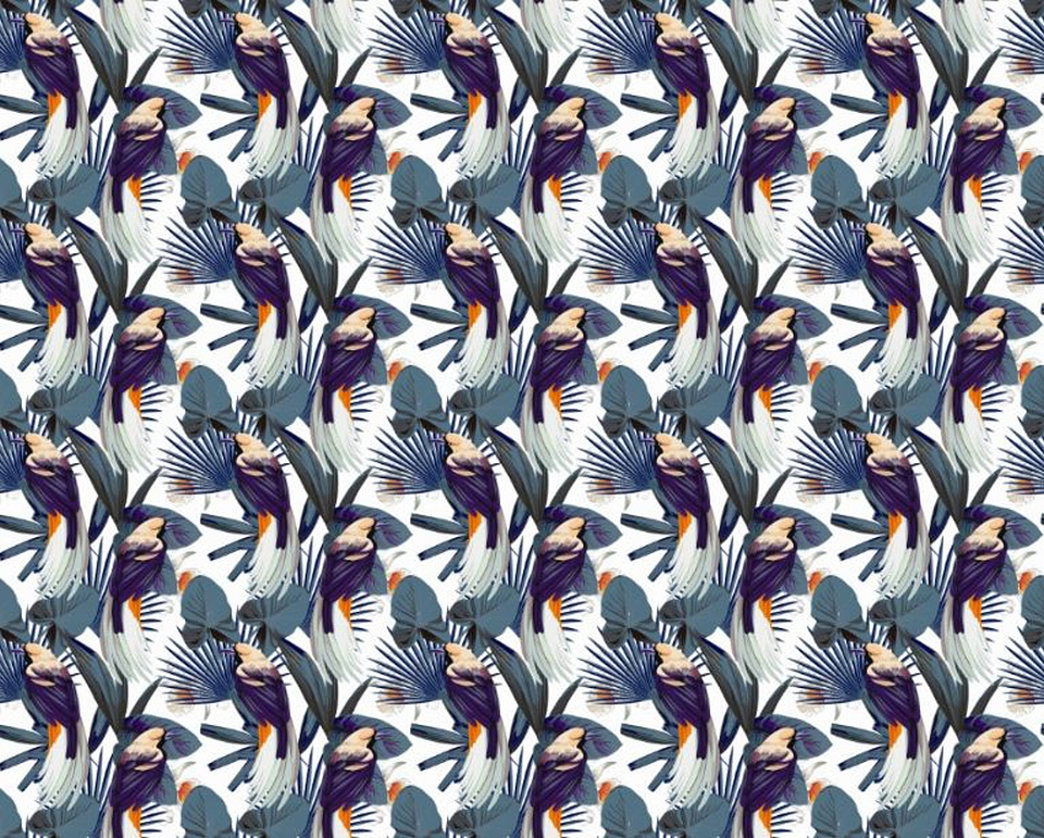 Papel Mural / Blue Macaws 3