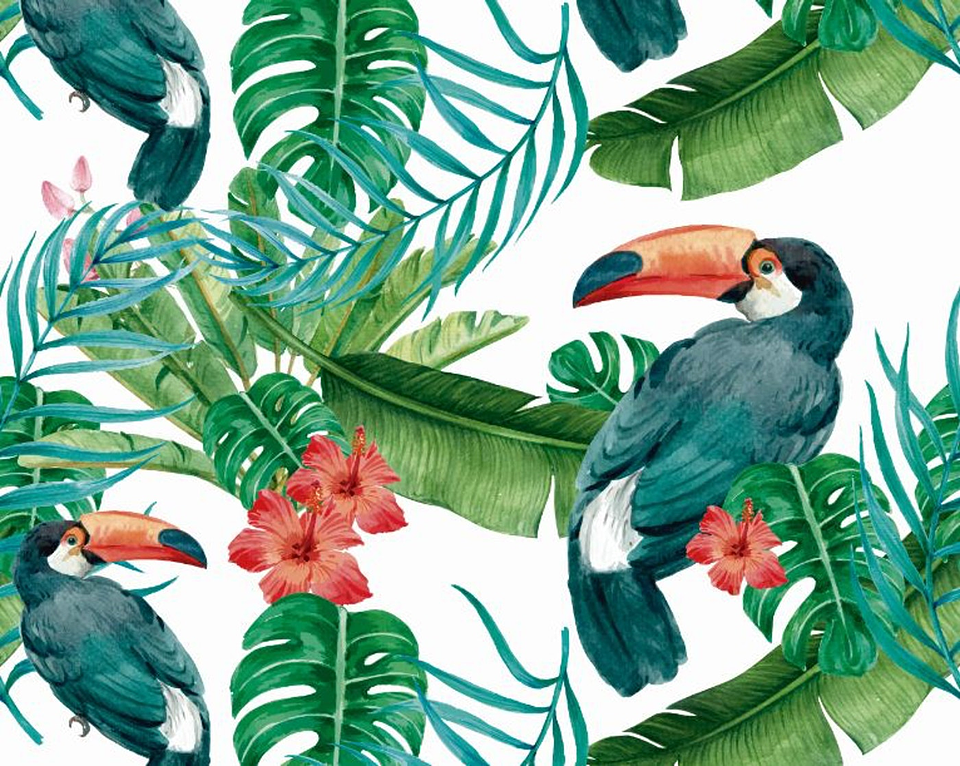 Papel Mural / Tucan 3