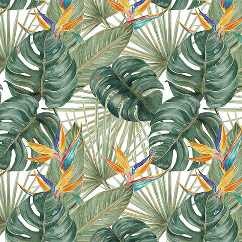 Papel Mural / Birds of Paradise