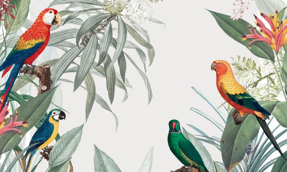 Papel Mural / Macaws 3