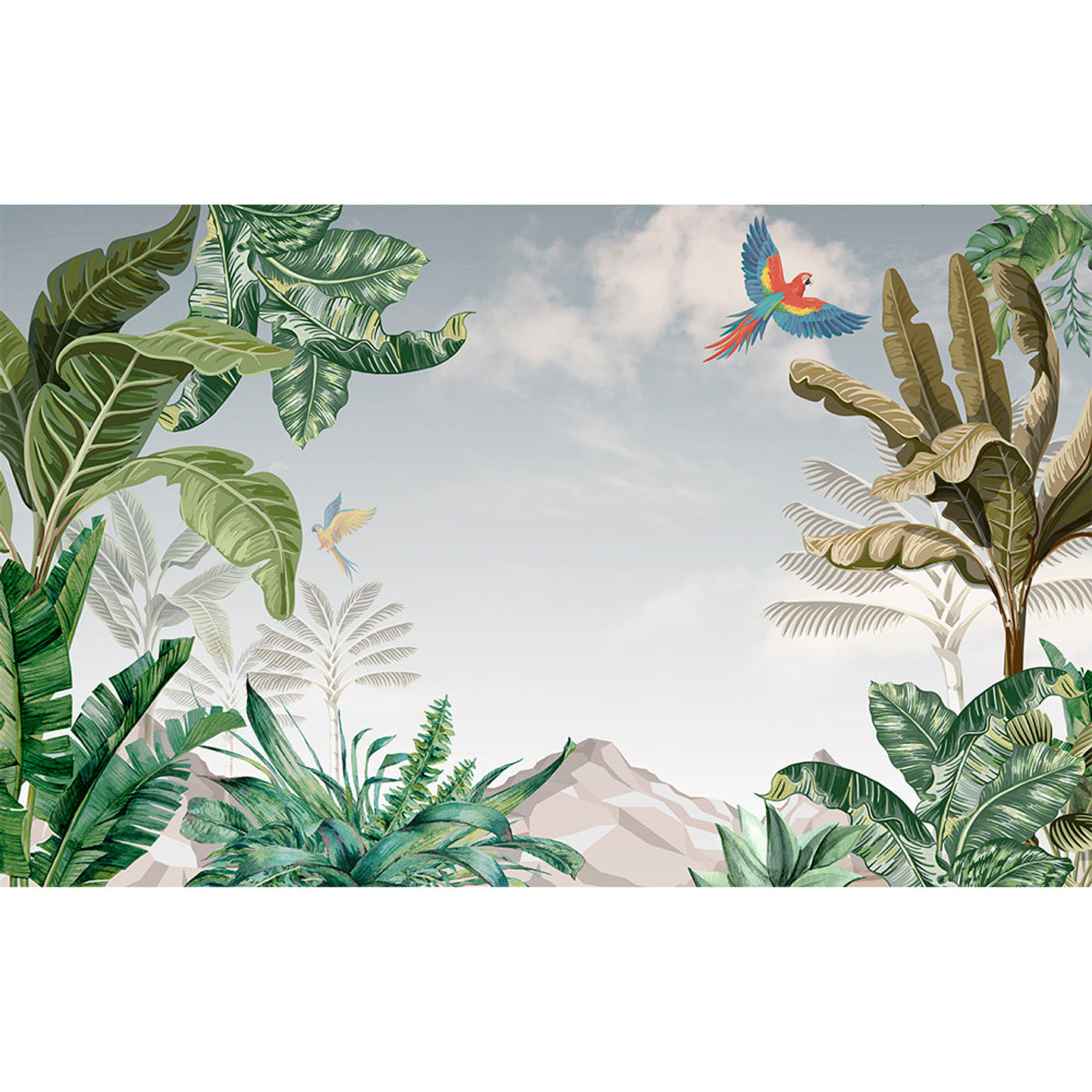 Papel Mural / Tropical Sky 4