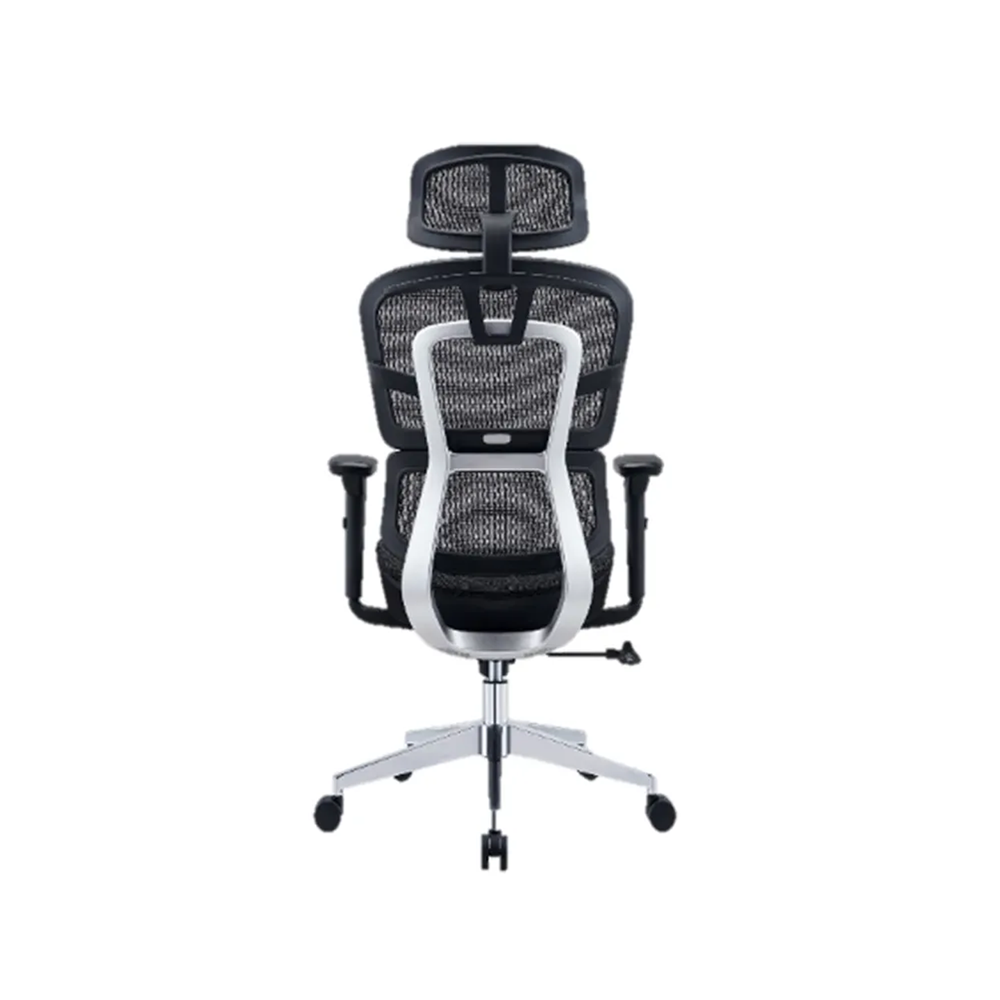 Silla Ergo Plus (4R) 3