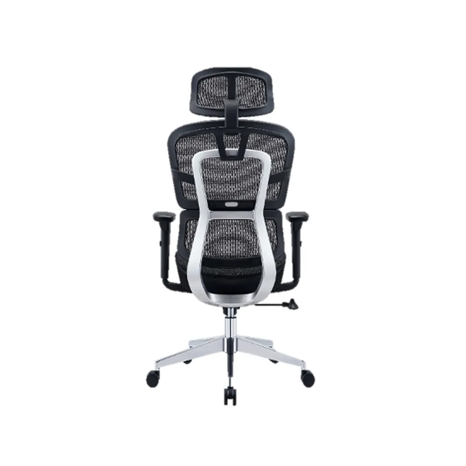Silla Ergo Plus (4R) 3