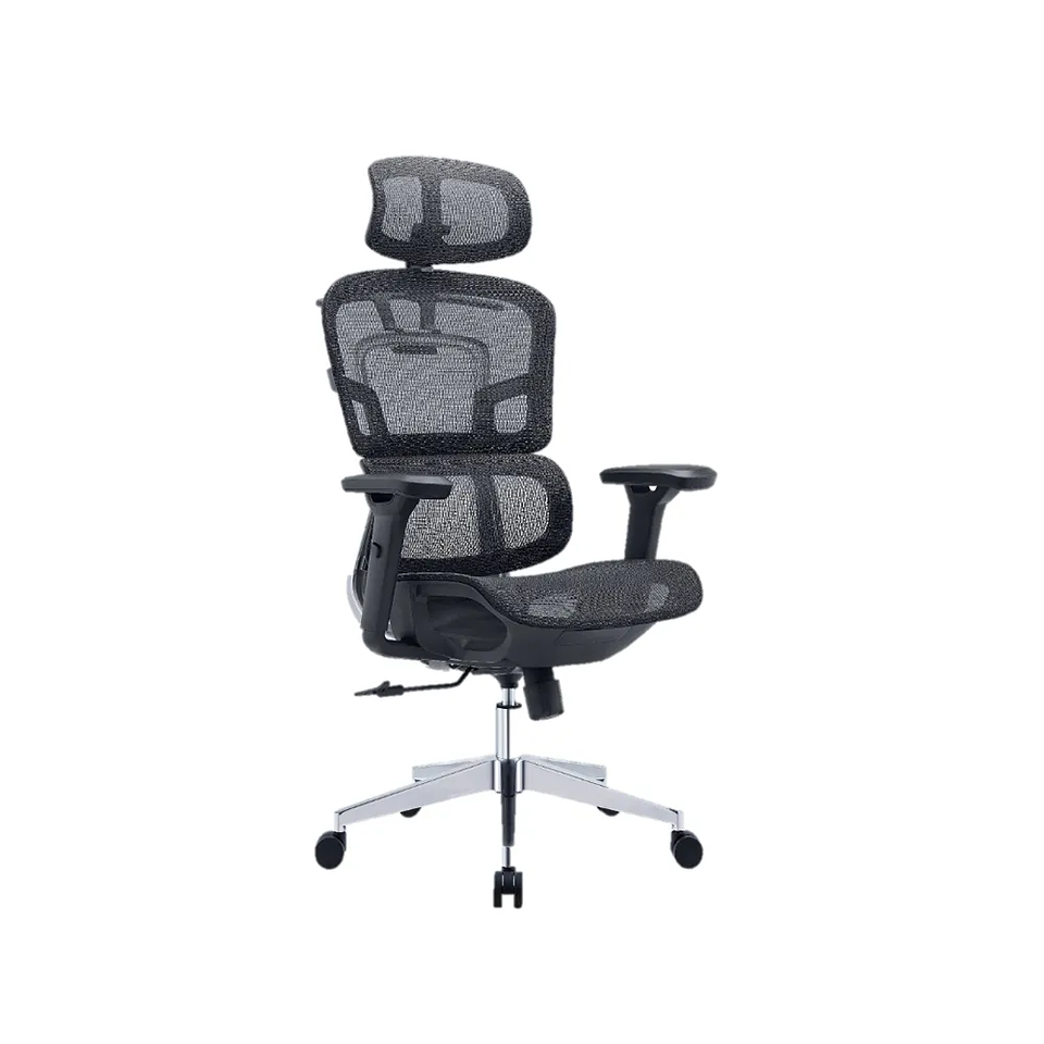 Silla Ergo Plus (4R) 1