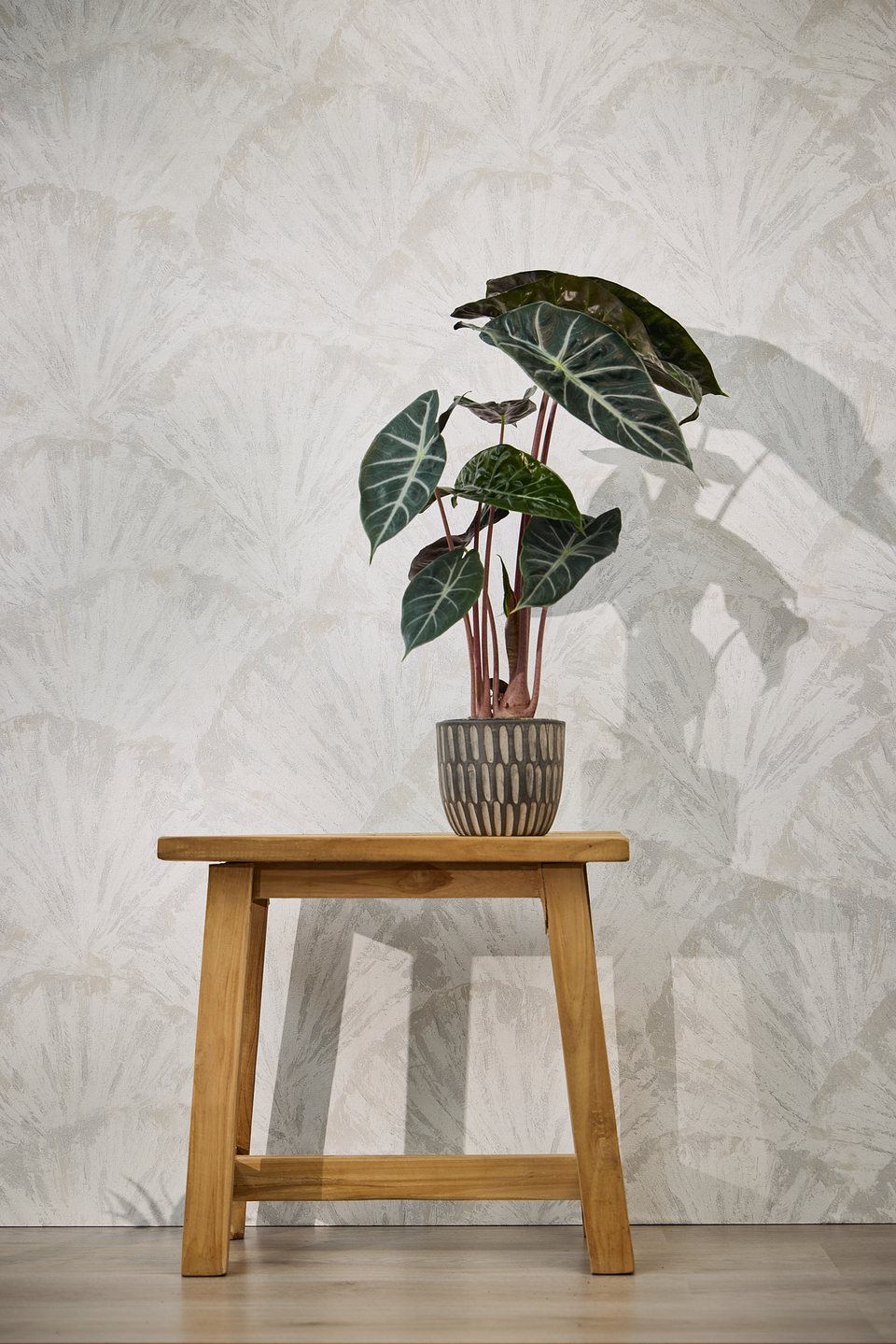 Papel Mural / 781983 (Hot Spots) 4