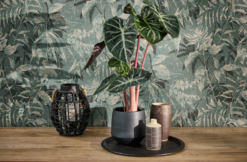 Papel Mural / 782035 (Hot Spots) 4