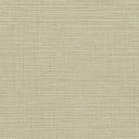 Papel Mural / 25872 (Fibers)