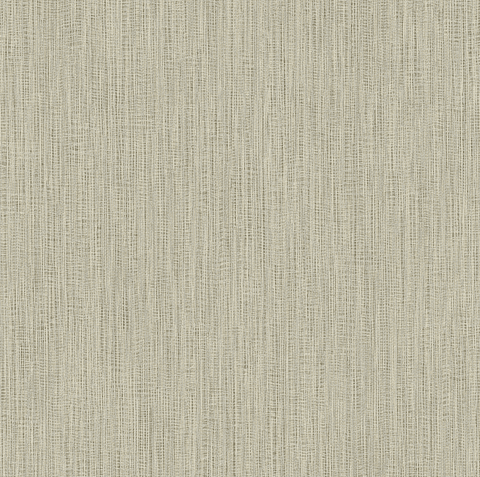 Papel Mural / 25851 (Fibers)