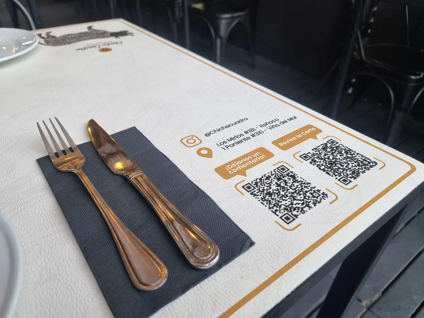 Individuales Personalizados / Chiche Cuadra 5