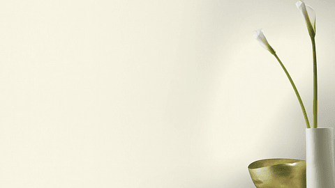 Papel Mural / 424034 (Liverna)